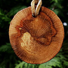 Sliced wood pendant