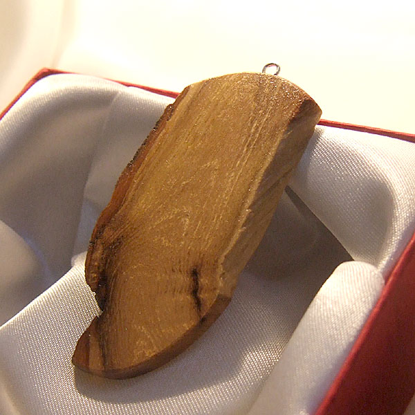 Wolf Tooth Pendant - Acacia Series 5